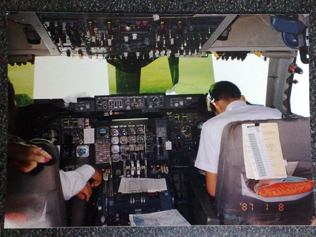 JAL B747 Photo by My Mother