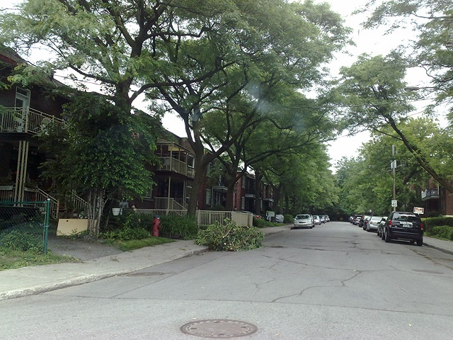 モントリオールの風景