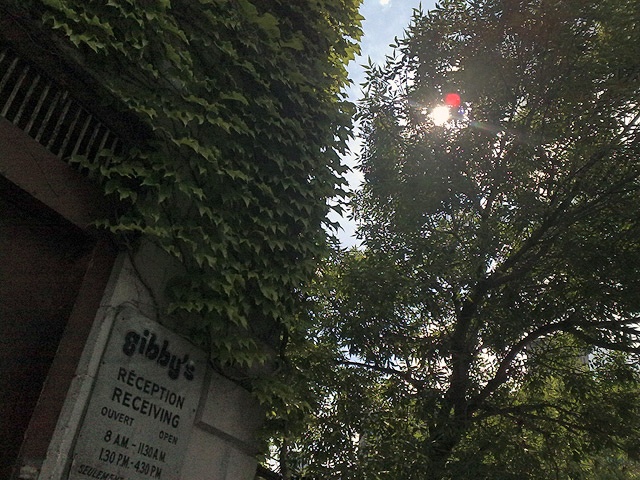 モントリオールの風景